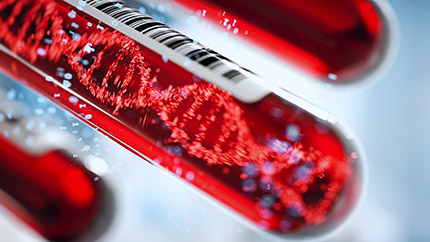 An image of some test tubes with red liquid inside.